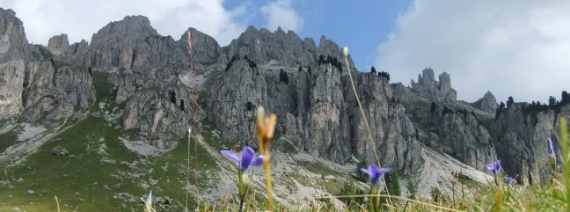 I, Trentino-Alto Adige, Val di Fassa, Malga di Vael, 2028 m; Zigolade